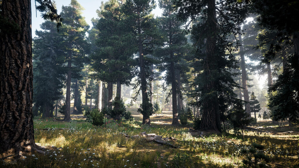 Sunlit Forest Scene Resembling Far Cry 5 Environment - Immersive Nature Background Wallpaper