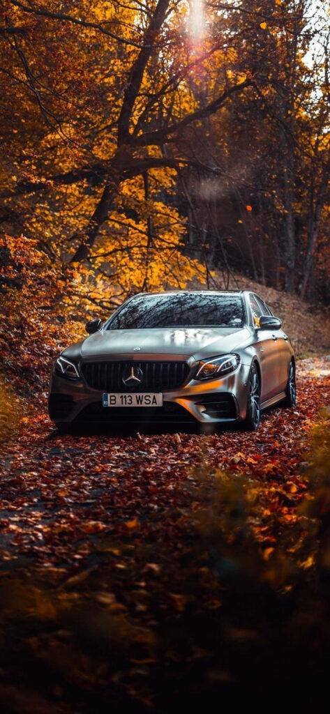 Autumn Bliss: A Captivating Mercedes Car Amidst Fall Foliage - Mercedes Iphone X Background Wallpaper