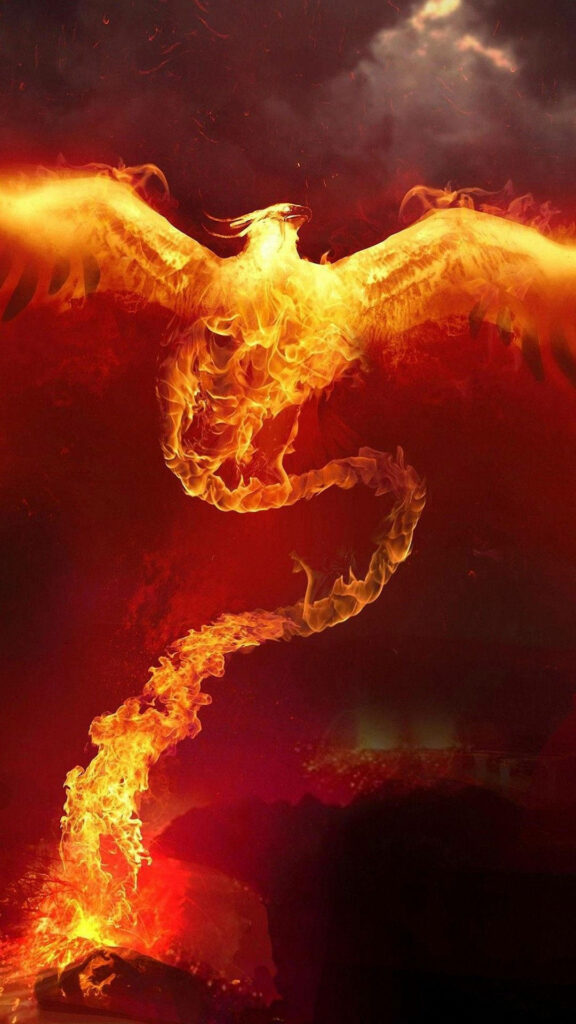 Fiery Phoenix Awakens: Enchanting iPhone Fire Background Wallpaper
