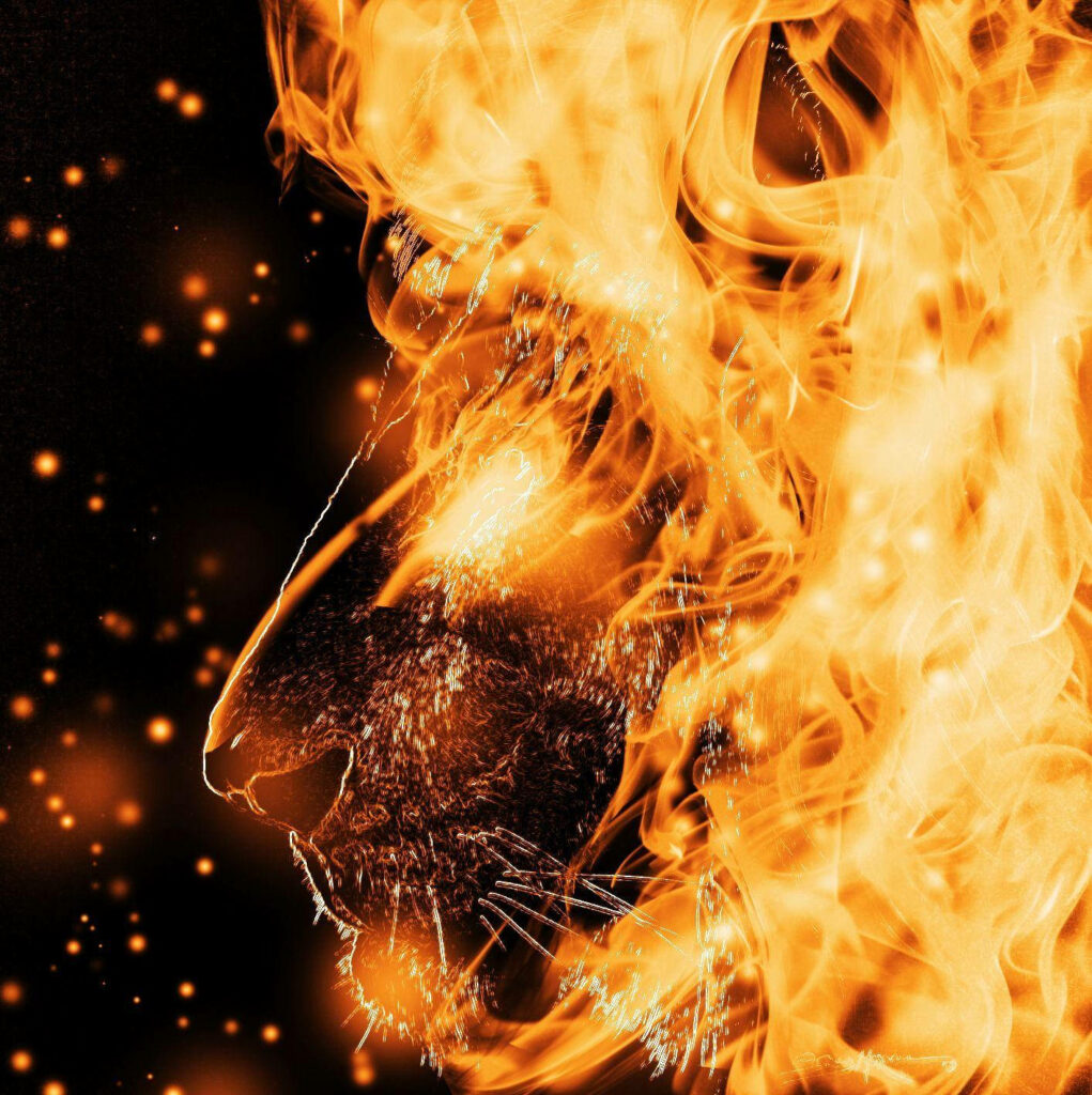 Flaming Majesty: An Enthralling Artistic Portrayal of a Fire Lion on a Sparkling Dark Canvas Wallpaper