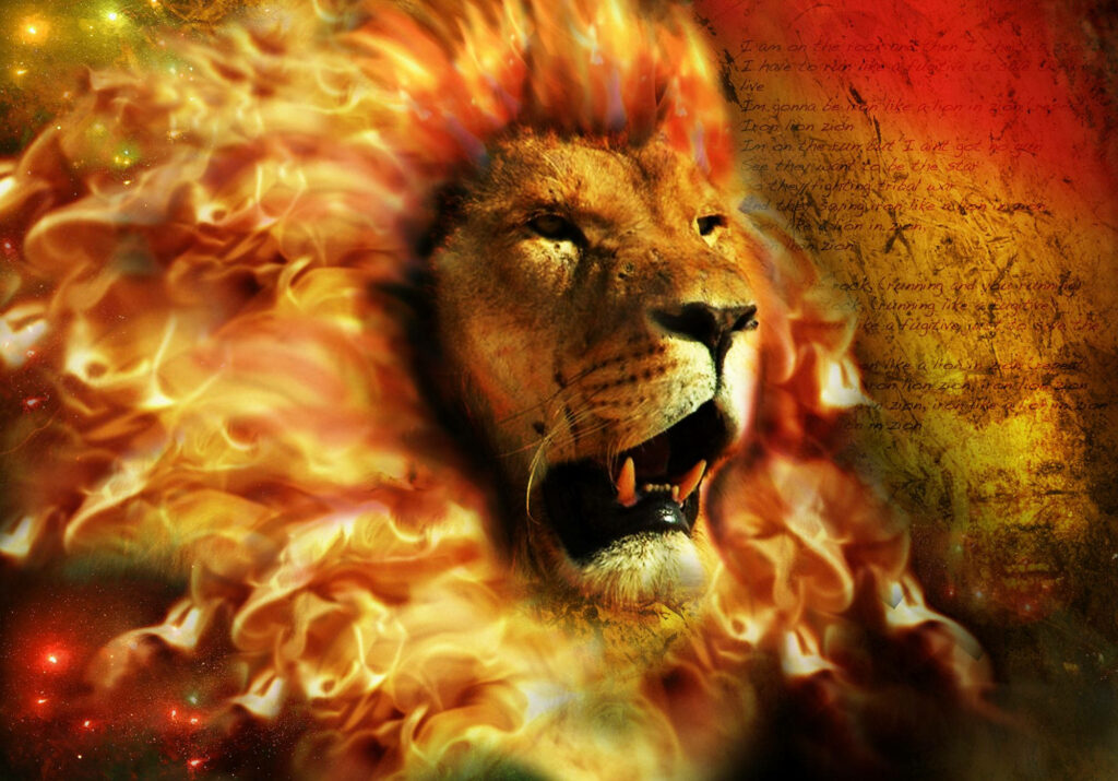 Inferno's Crown: A Majestic Lion's Fiery Mane Ignites with Intense Heat Amidst Razor-Sharp Fangs Wallpaper