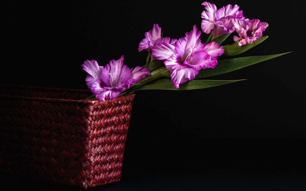 Aesthetically Captivating: The Enchanting Purple Bloom in a Basket Against a Dark Desktop Canvas Wallpaper