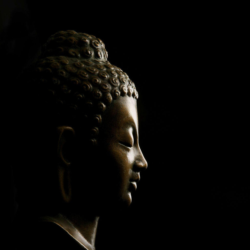 Serene Majesty: The Enigmatic Black Buddha Embraced by Shadows Wallpaper