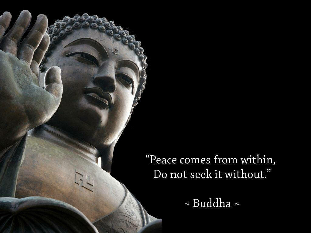 The Serene Path: Unveiling Tranquility Through Buddha's Teachings - Inspirational Buddha Quotes Wallpaper