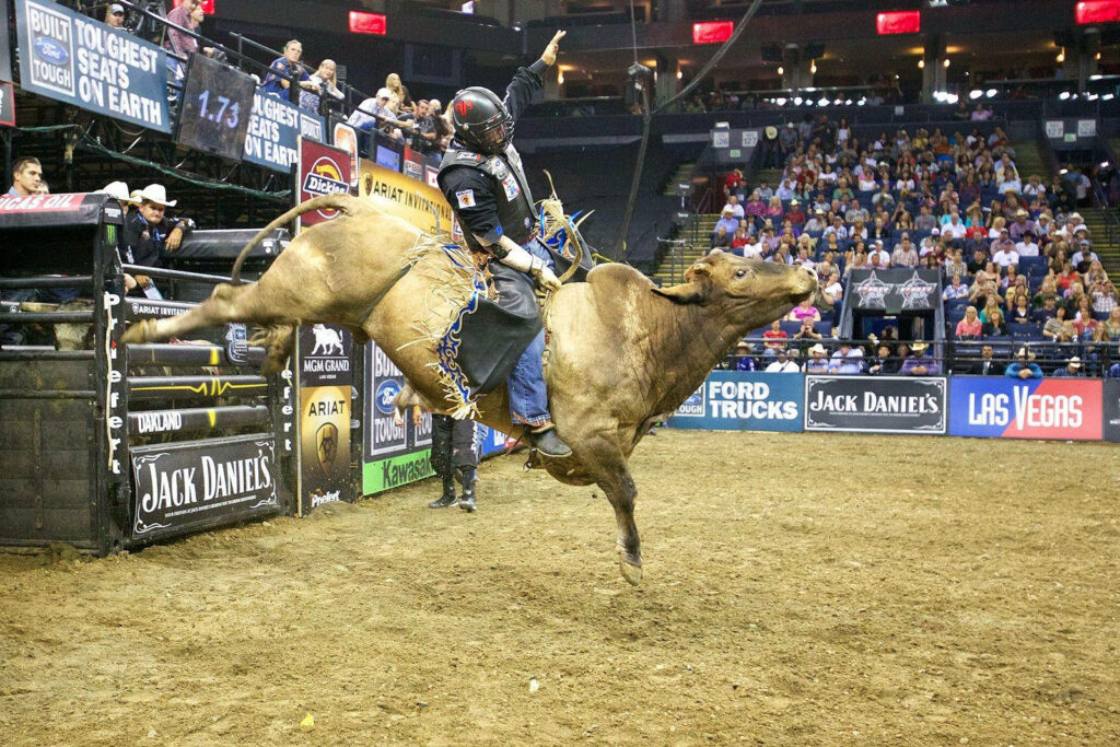 American bull riding action scene with rider on bucking bull in lively arena background Wallpaper