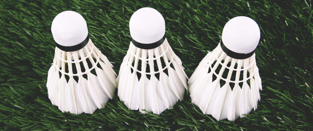Badminton-Shuttlecock on Green Grass - QHD 1440p Background Wallpaper
