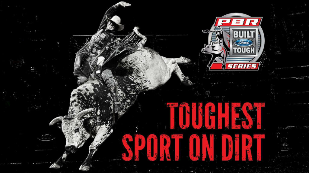 Black and white PBR bull riding action showing intense dynamic movement and rugged energy wallpaper