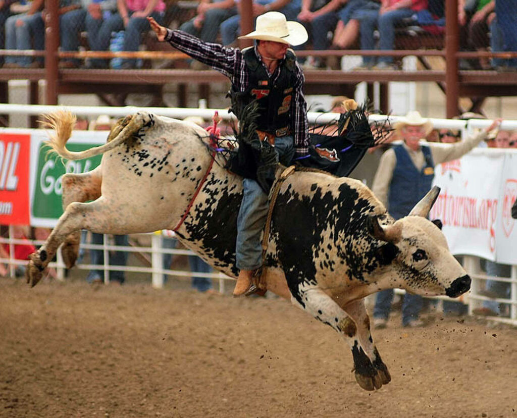 Cowboy riding speckled bull in intense rodeo action with bold earth tones and motion blur Wallpaper