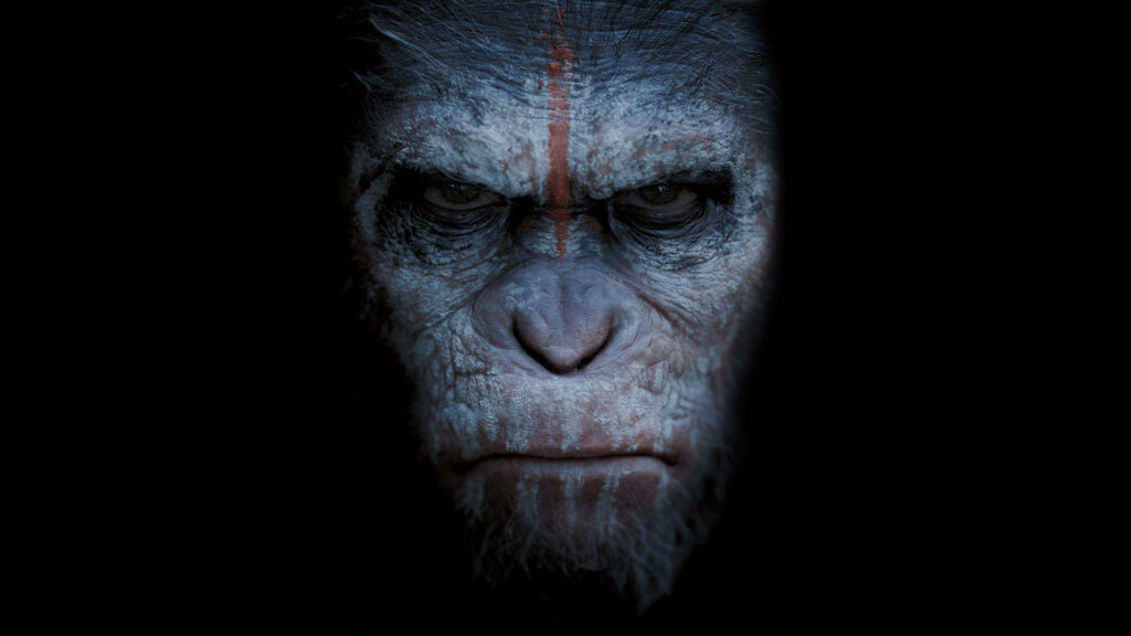 Intense Caesar Wallpaper: Close-Up of the Intelligent Ape