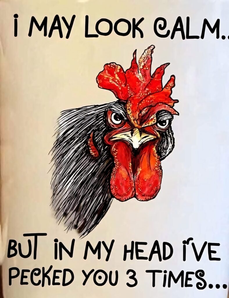 Intense Chicken Wallpaper: 'I've Pecked You 3 Times' Humor
