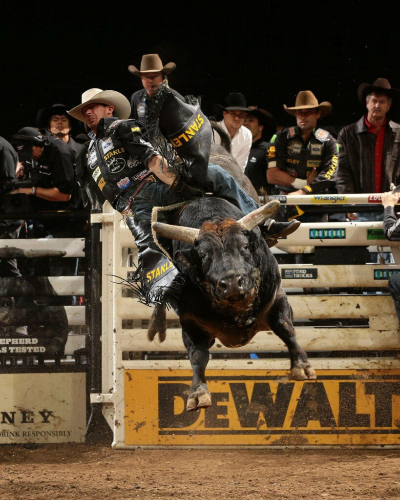 Cowboy gripping bucking bull in intense professional rodeo action with rugged arena backdrop Wallpaper