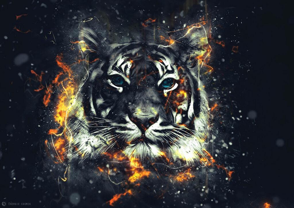 Fiery Tiger Wallpaper: Intense Portrait with Bold Flame Accents