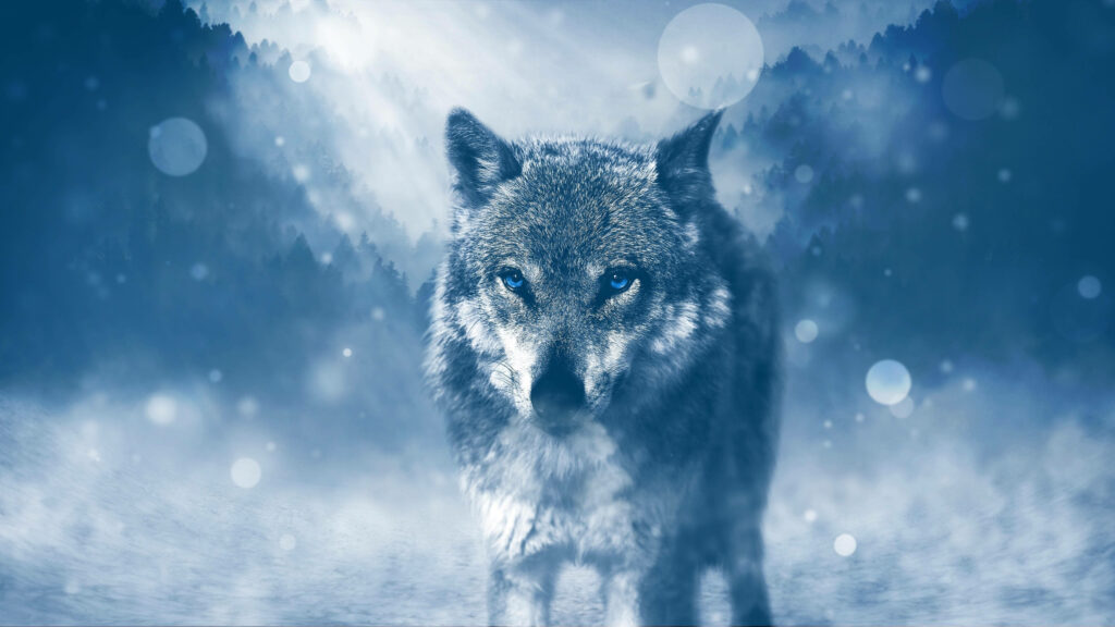 Intrepid Wolf in Mystical Wilderness: Serene Background Wallpaper