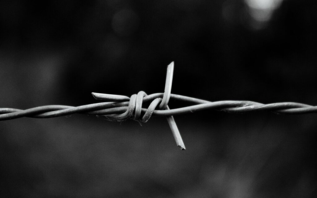 Intricate Black and White Barbed Wire Wallpaper Background