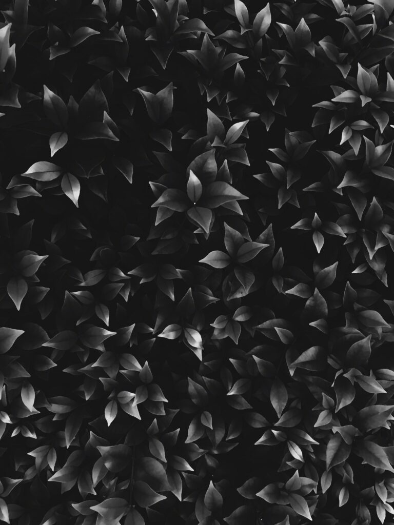 Intricate Black and White Leaf and Bush Wallpaper Background