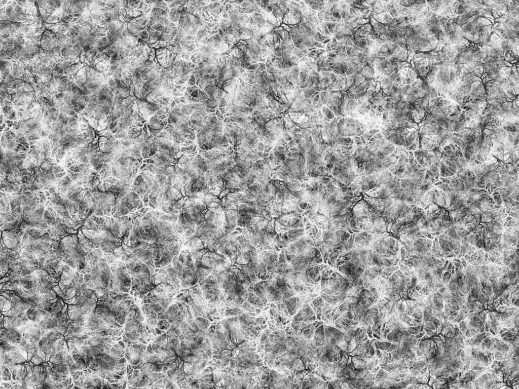 Intricate Black and White Wallpaper: Tangled Lines & Organic Patterns