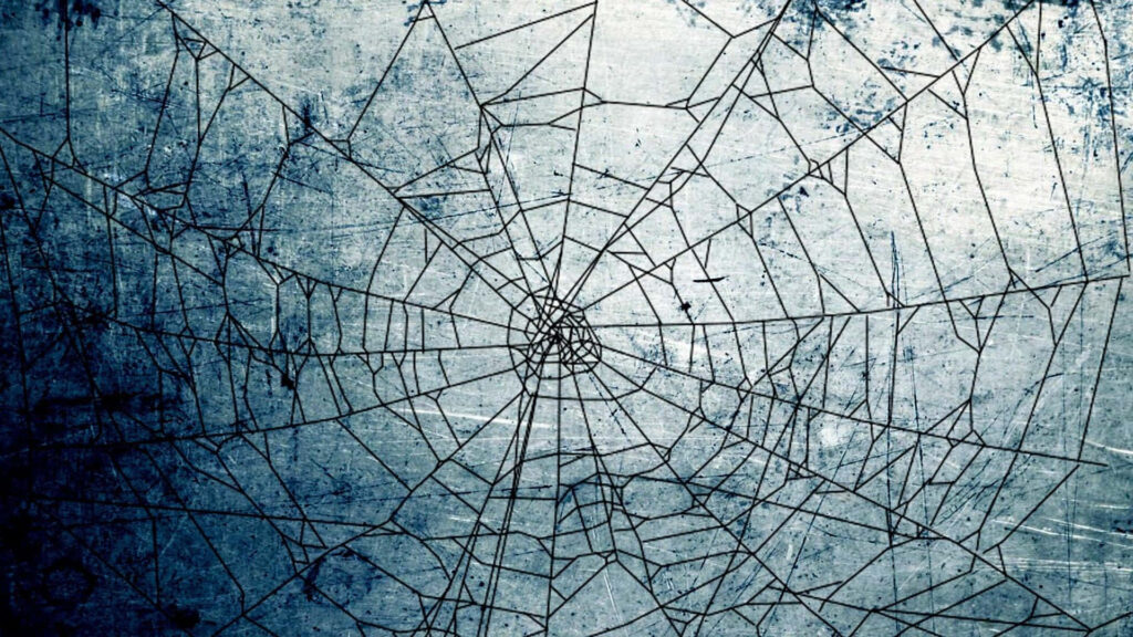 Intricate Spider Web Wallpaper: Nature-Inspired Blue Gray Design