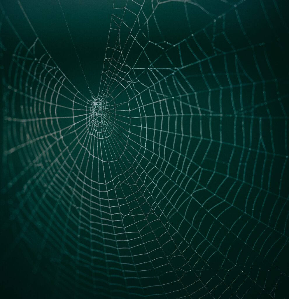 Intricate Cobweb Close-Up: Glistening Water Droplets Wallpaper