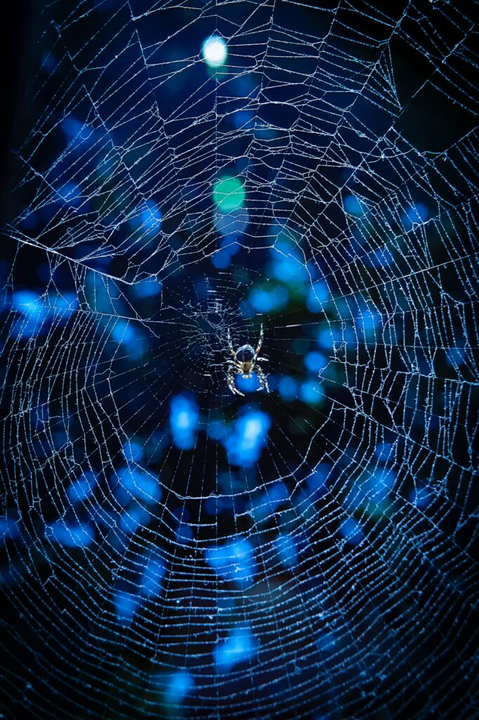 Intricate Cobweb with Morning Dew - Luminous Blurred Background Wallpaper
