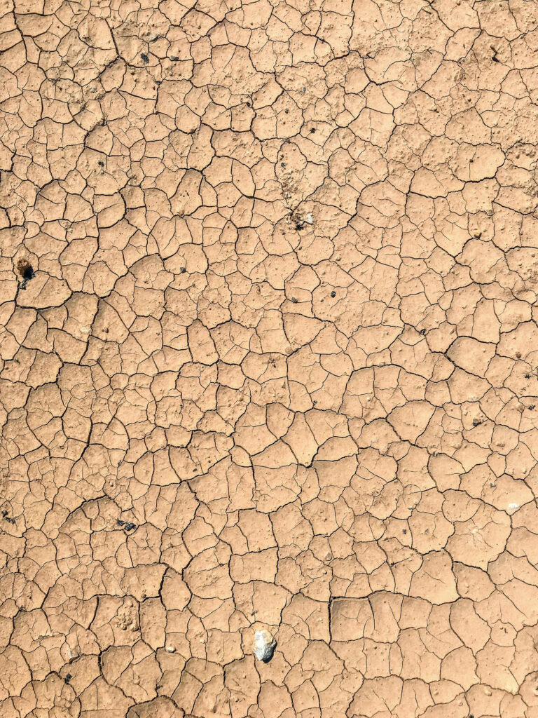 Intricate Cracked Mud Wallpaper: Detailed Dry Earth Texture Background