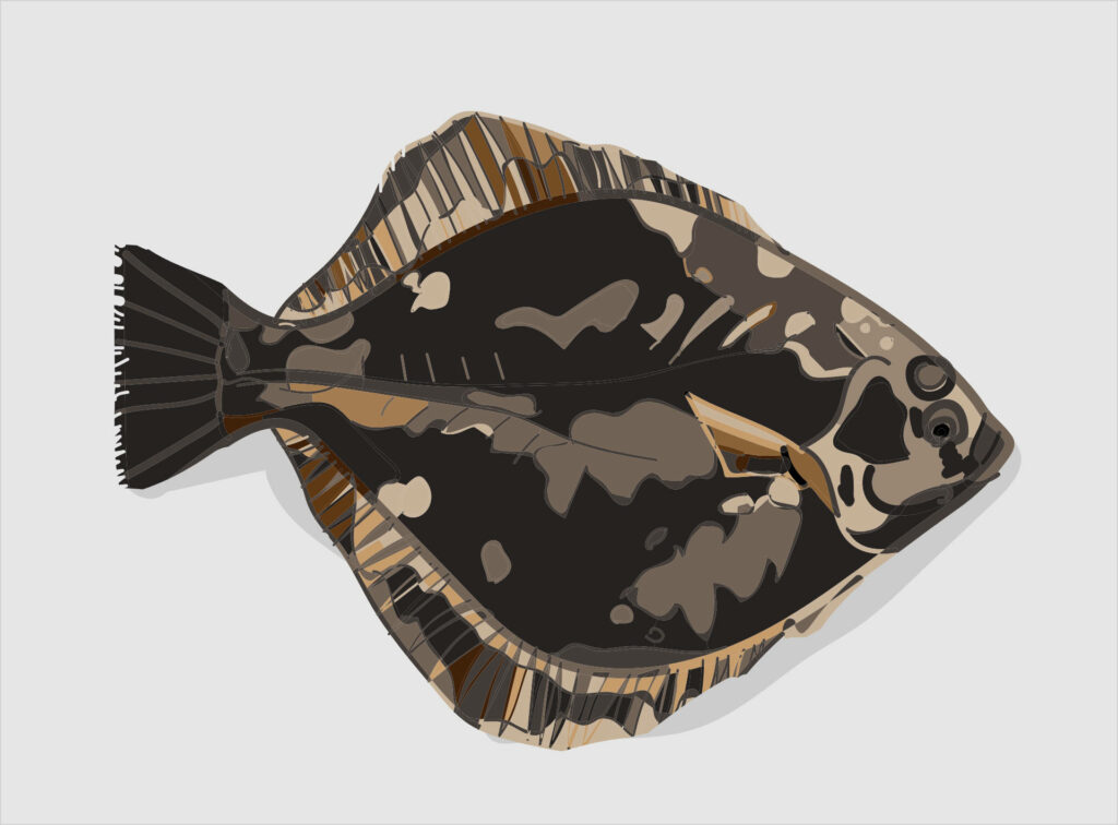 Intricate Dark-Scale Flounder Digital Art Wallpaper on Light Backdrop
