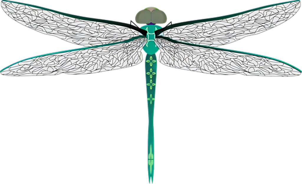 Vibrant Dragonfly Wallpaper: Elegant Nature-Inspired Design