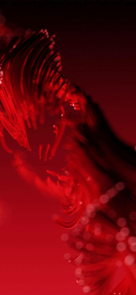 Red Elegance: Embracing Abstract Flowing Lines in Classy Silhouette - iPhone Wallpaper