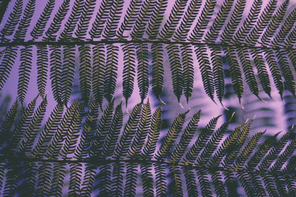 Detailed fern leaf wallpaper with intricate carved patterns on vibrant purple botanical background