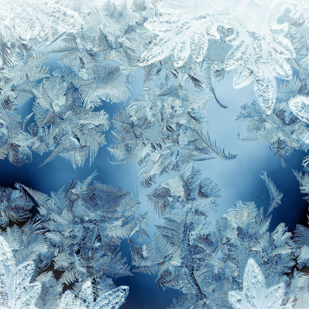 Intricate Frost Patterns: Cozy Winter Wallpaper for Your Mac