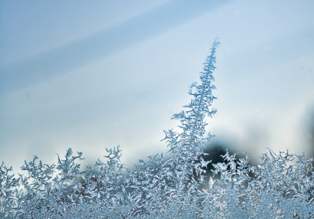 Stunning Macro Frost Patterns Wallpaper on Soft Blue Background