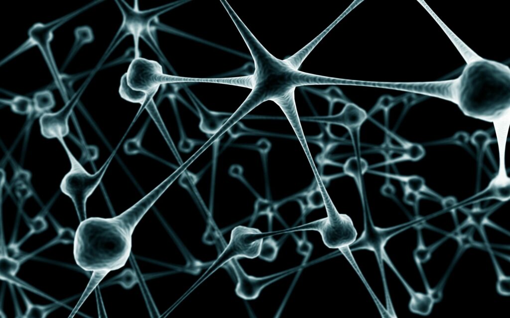 Intricate Gray Cellular Structures Wallpaper on Black Background