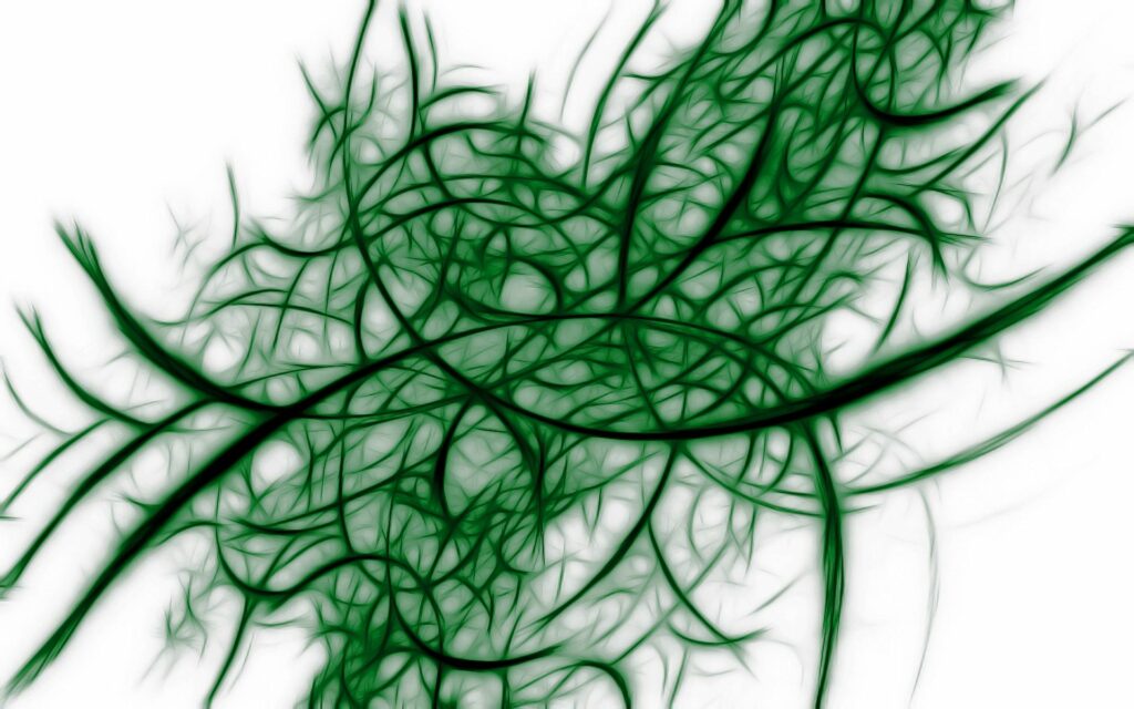 Intricate Green Algae Abstract Wallpaper - 1920x1200 Depth Design