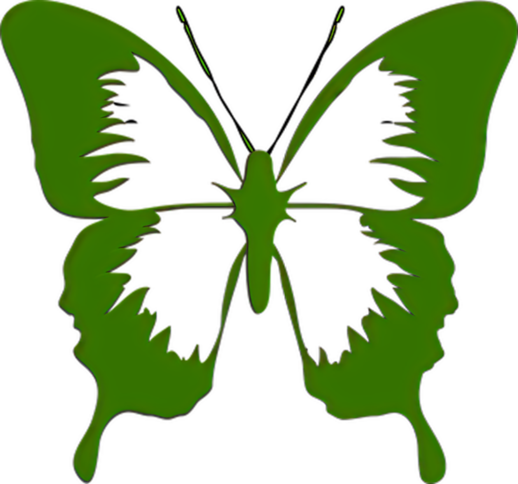 Artistic Green Butterfly Wallpaper with Unique Face-like Patterns