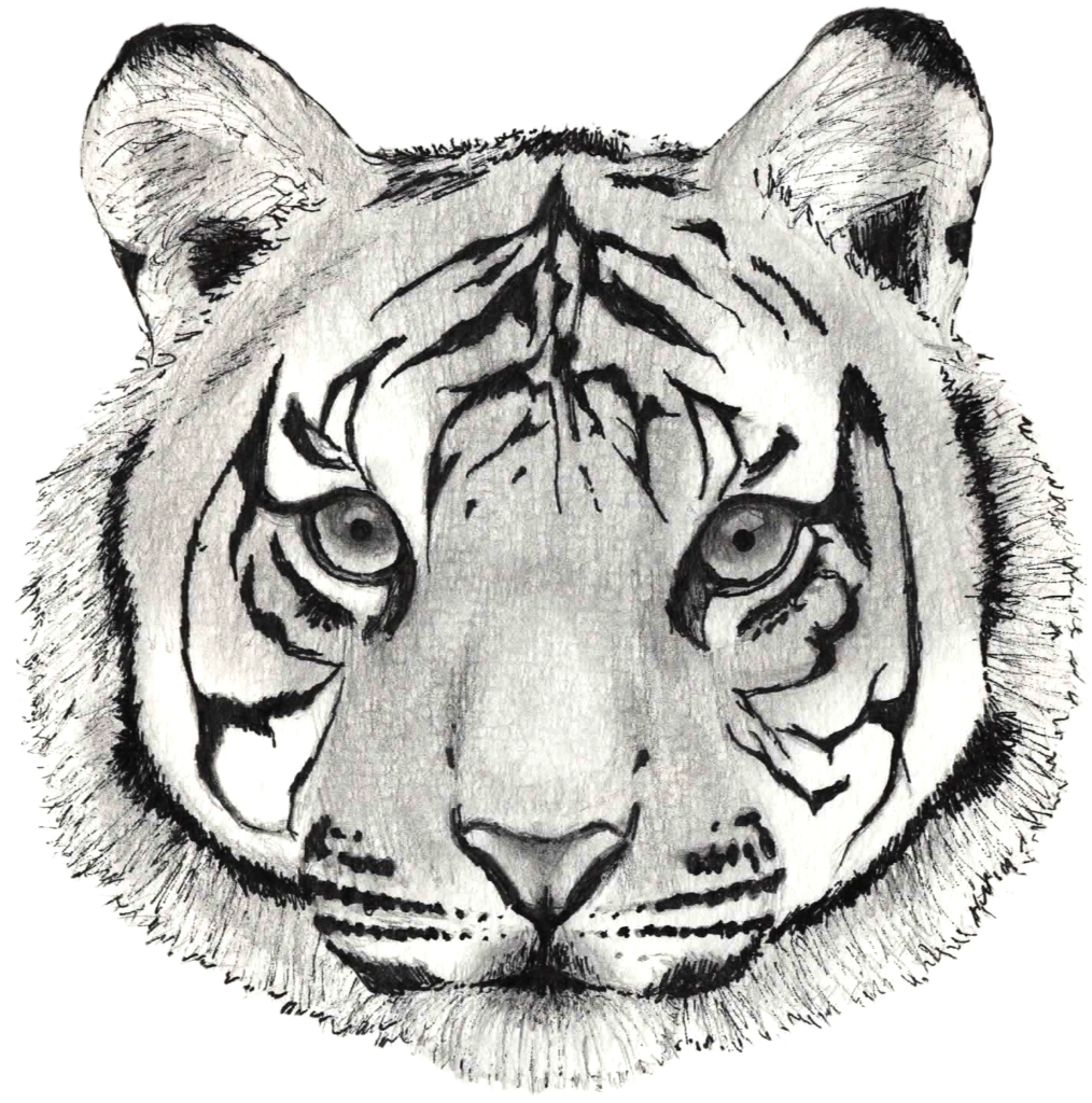 Intricate Hand-Drawn Tiger Face Wallpaper - Monochromatic Art Design