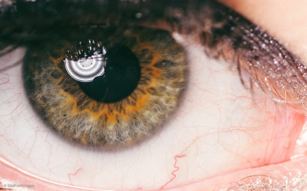 Intricate Human Eye Close-Up: Veins, Pupil & Eyelashes Wallpaper
