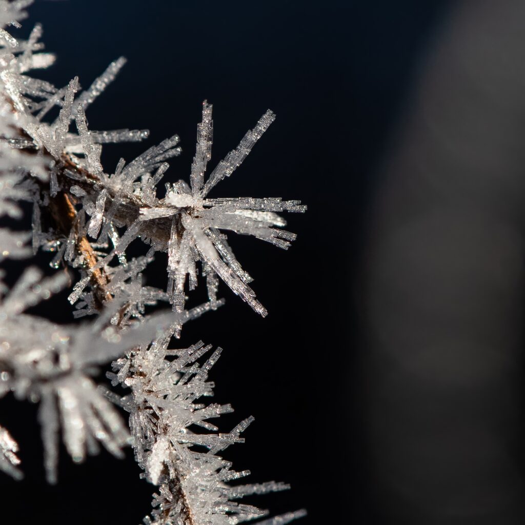 Ice Crystals on Branch: Stunning Winter Wallpaper Background