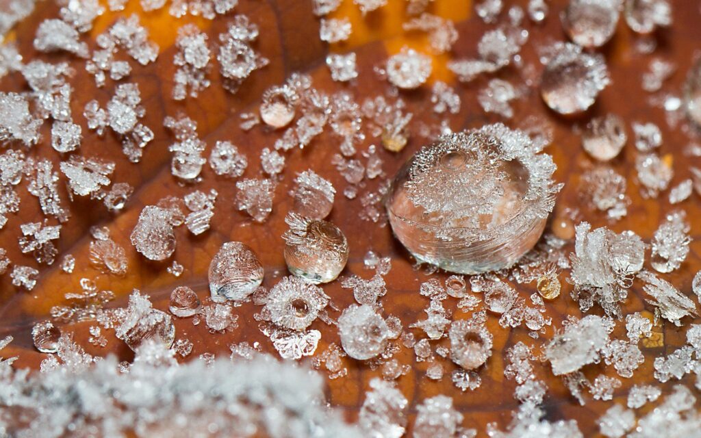 Intricate Ice Droplets & Frosty Crystals Wallpaper Background