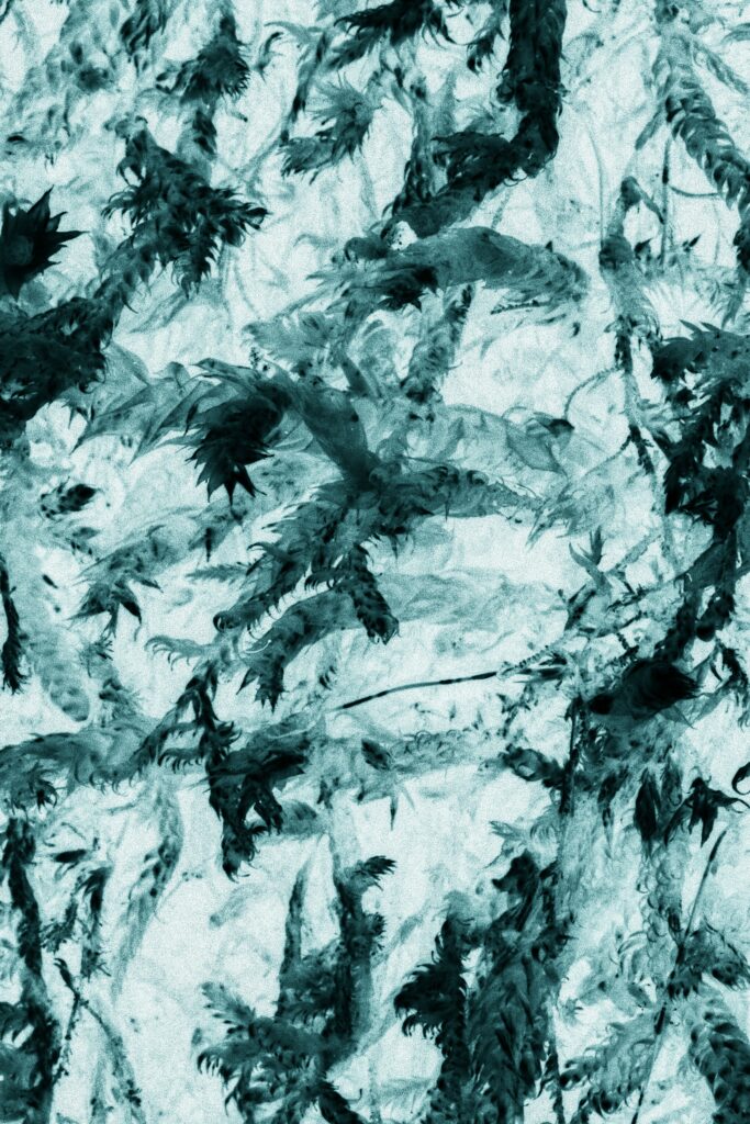 Intricate Gray and Teal Ice Textures: Abstract Macro Wallpaper