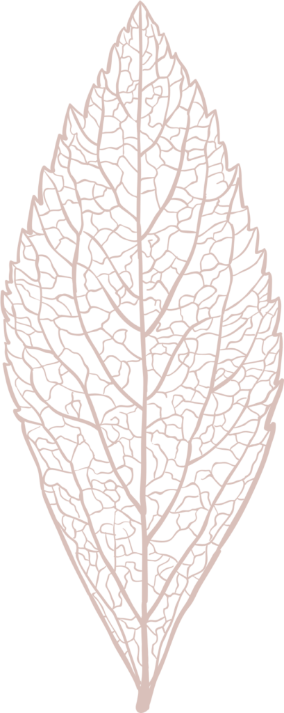 Intricate Leaf Vein Vector Wallpaper: Nature's Complex Beauty
