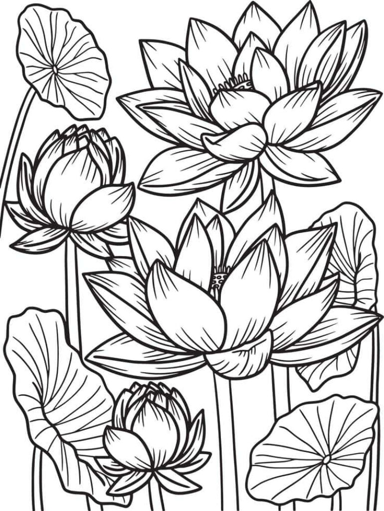 Intricate Lotus Flower Wallpaper for Creative Coloring Bliss