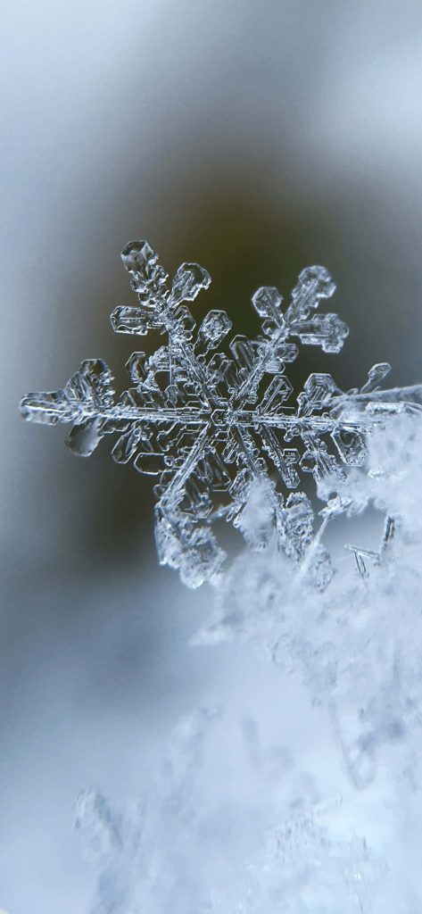 Macro photo of an intricate snowflake crystal with soft icy blurred winter background wallpaper