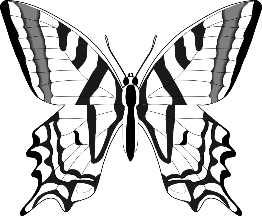 Intricate Monochrome Butterfly Wallpaper - PNG Format Background