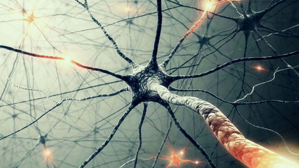CGI illustration of central neuron network with glowing orange impulses on dark biology wallpaper