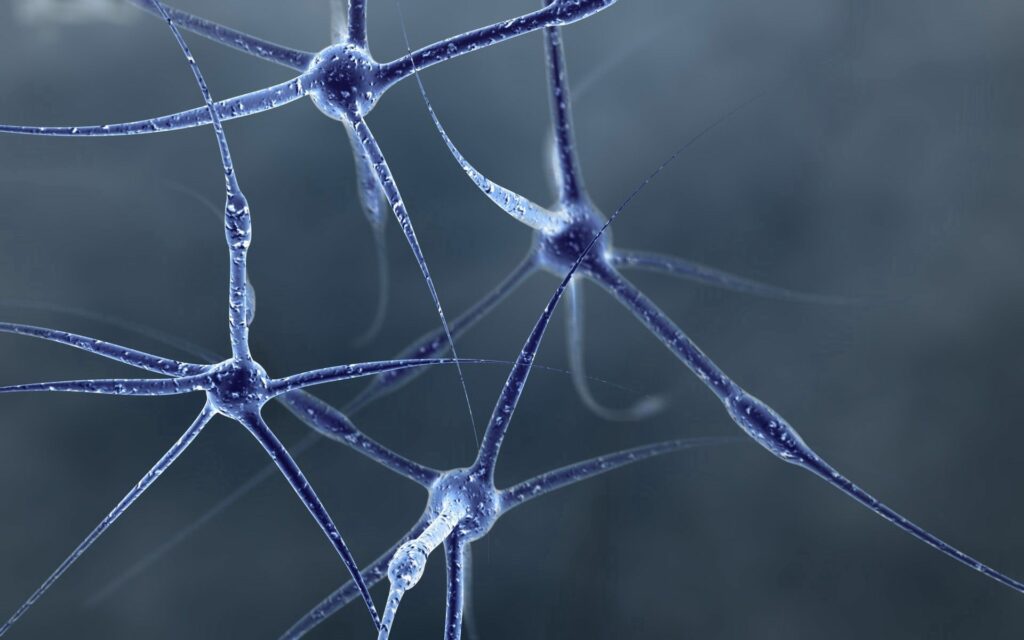 Intricate Neuron Wallpaper - Detailed Nervous System Background 1920x1200