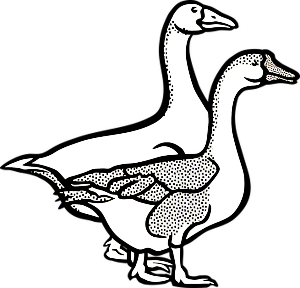 Intricate Optical Illusion Wallpaper with Two Ducks on Black Background