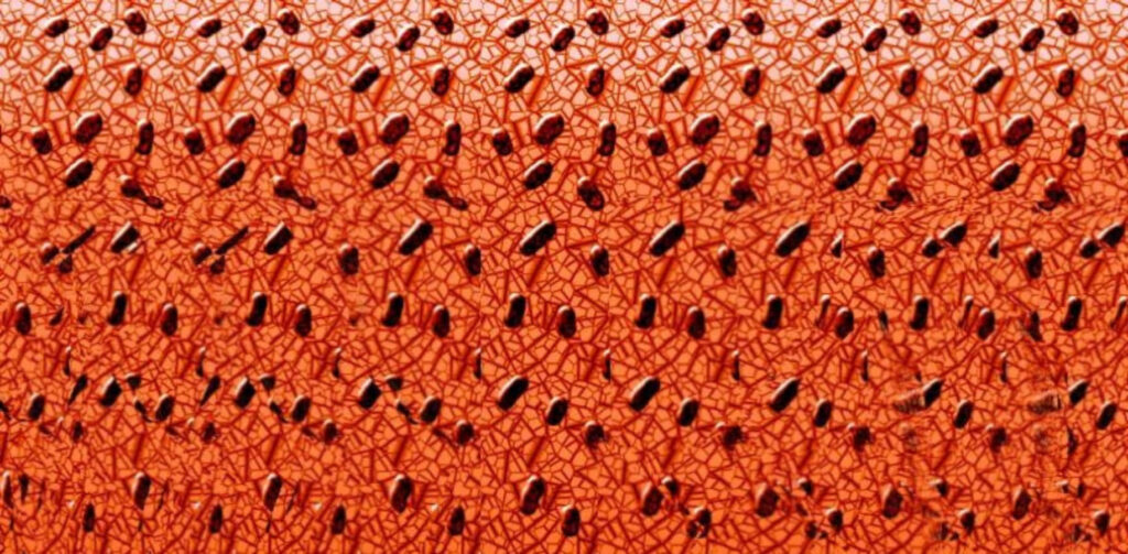 Intricate Orange Pattern 3D Stereogram Wallpaper - Hidden Image Reveal