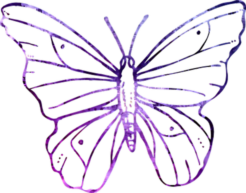 Intricate Purple Butterfly Wallpaper on Black Background