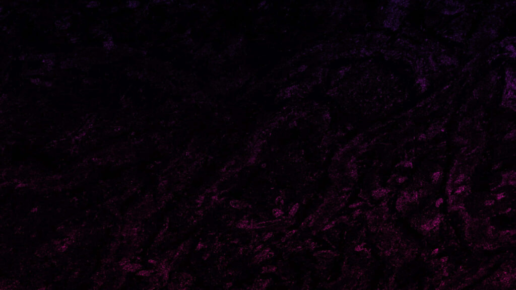 Elegant Dark Purple Wallpaper with Intricate Texture & Details