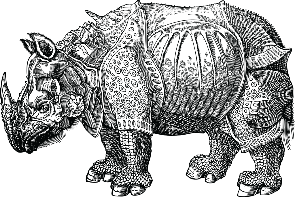 Intricate Rhinoceros Wallpaper: Majestic Artistic Background Design