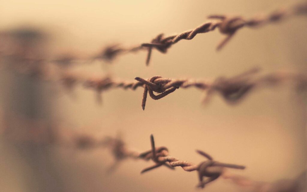 Intricate Rusty Barbed Wire Fence: Detailed Wallpaper Background